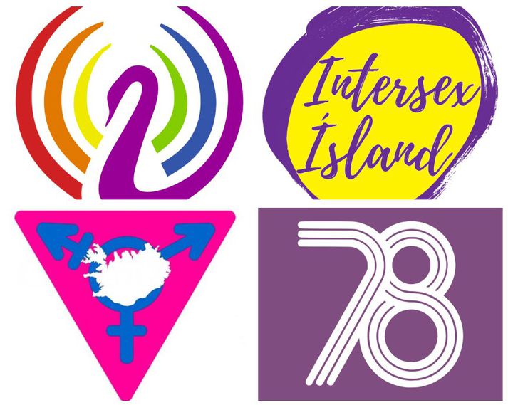 Fern félagasamtök Samtökin ‚78, Intersex Ísland, Trans Ísland og Hinsegin dagar skora á ríkisstjórn Íslands að fordæma harðlega fyrirhugaðar aðgerðir Bandaríkjastjórnar og beita sér af festu fyrir réttindum hinsegin fólks.