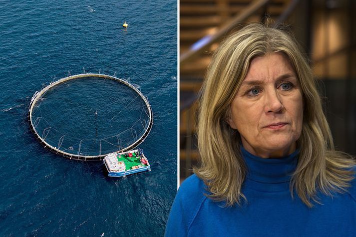 Hanna Katrín Friðriksson er atvinnuvegaráðherra. ESA vill fá svör um hversu mörgum leyfum hefur verið úthlutað til sjókvíaeldis, fresturinn er runninn út og ekkert bólar á svörum.