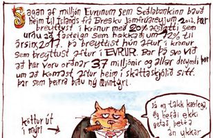 Fréttamynd