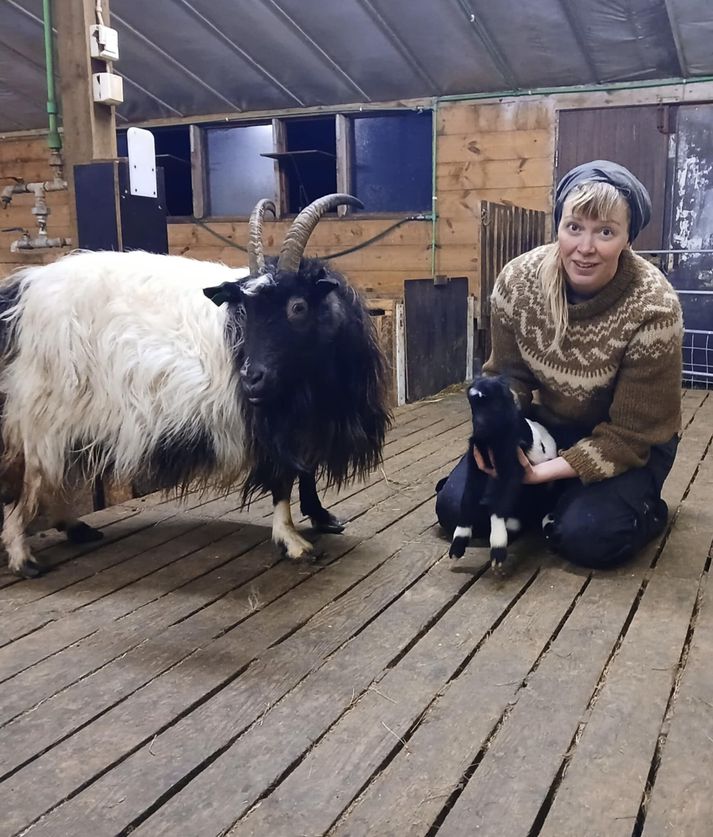 Heiða Guðný með Krumma geitung og mömmu hans, Kiðu Sól í fjárhúsinu í Sveinungsvík í Þistilfirði.