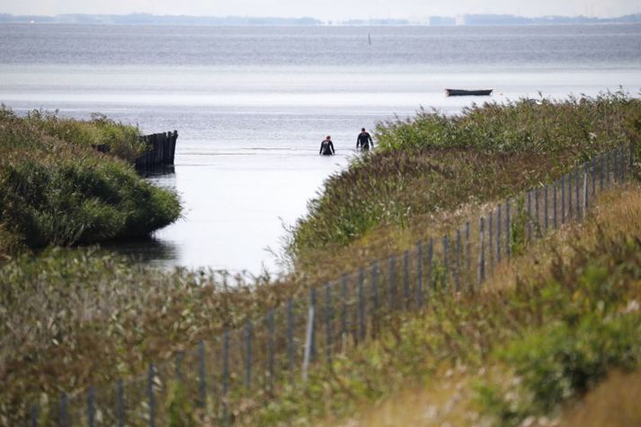 Lögregla í Danmörku hefur leitað að líkamsleifum Kim Wall í Kögeflóa og víðar.