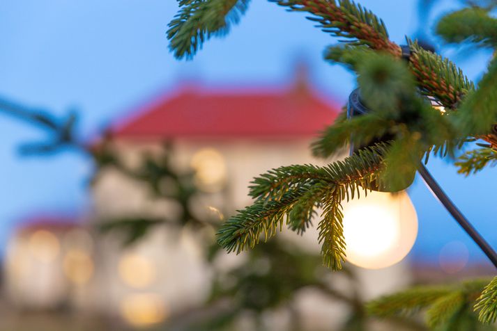 Lögregla hefur haft nóg að gera vegna innbrota í nóvember og virðist ekkert lát á í jólamánuðinum, desember.