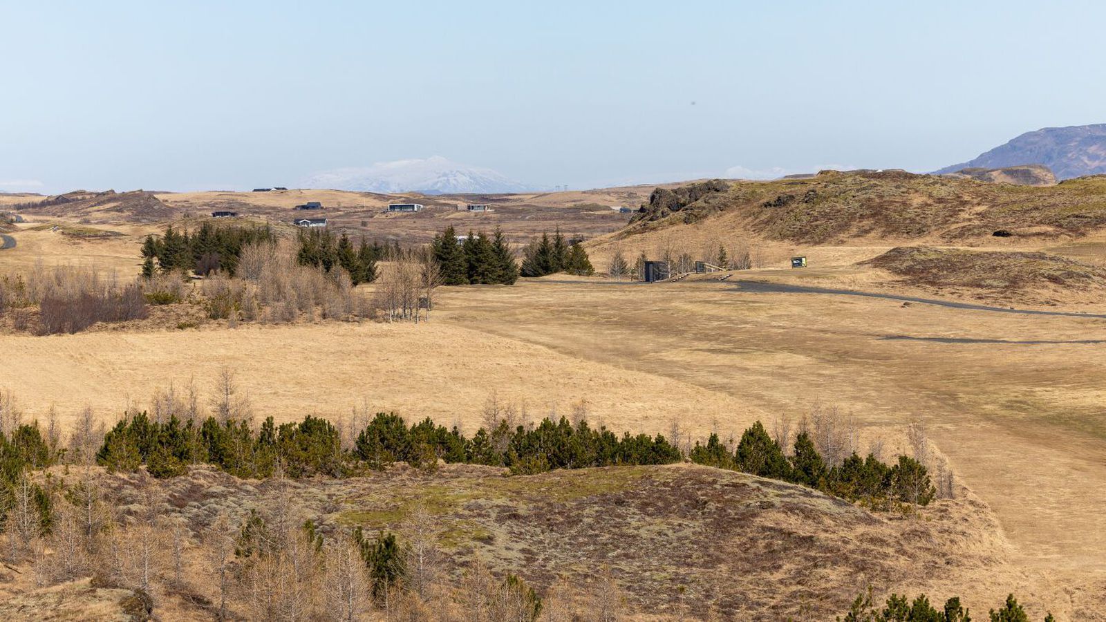 Sveitar­stjóra ekki heimilt að banna hunda­hald