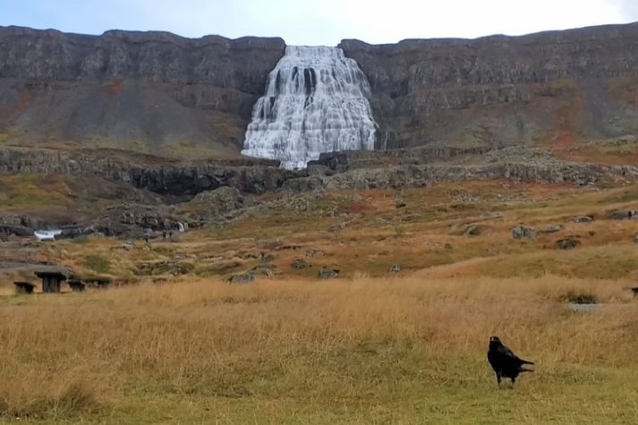 Fossinn Dynjandi í Arnarfirði, einnig þekktur sem Fjallfoss.