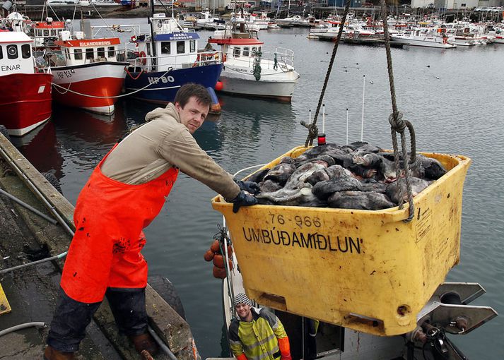 Umhverfisverndarsamtök hafa þrýst á verslanir að fjarlægja kavíar, eða grásleppuhrogn, úr verslunum.