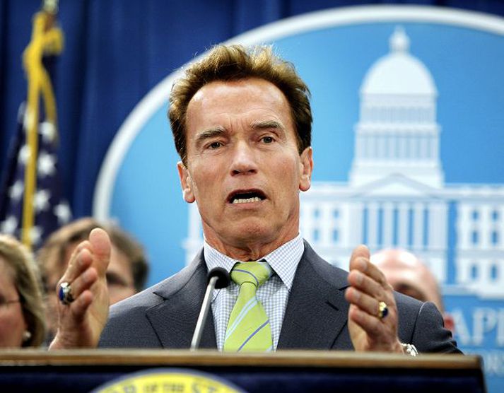 Arnold leikur sjálfan sig í hasarmyndinni The Expendables.
