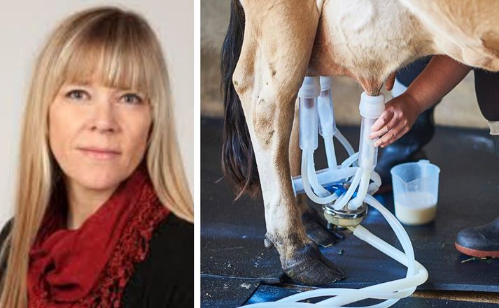 Þórunn Pétursdóttir, bæjarfulltrúi í bæjarstjórn Hveragerðisbæjar.Þórunn er einnig sviðstjóri hjá Landgræðslunni.