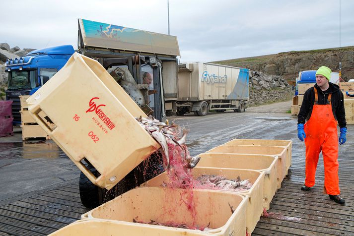 Meðal þess sem fjallað verður um í þættinum er heimildin til þess að láta kvóta ganga í arf.