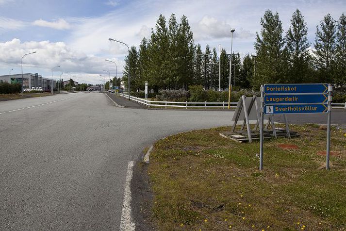 Bæjaryfirvöld í Árborg vilja að tré séu ekki til ama.