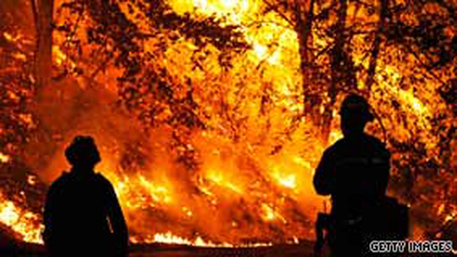 Fire time. Бежать от пожара. Мужчина спиной на фоне горящего леса. Буддист в горящем лесу. Ральф бежит из горящего леса.