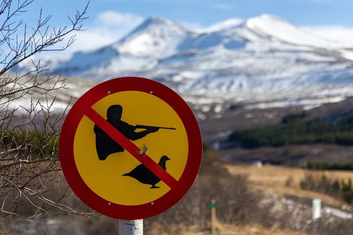 Mikill munur er á skoðunum fólks eftir því hvort þau hafa aðgang að skotvopnum eða ekki. 