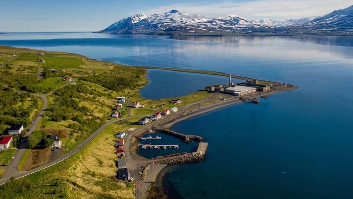 Það verður meira en nóg að gera á hátíðarhöldum dagsins á Hjalteyri í Hörgársveit í dag.   