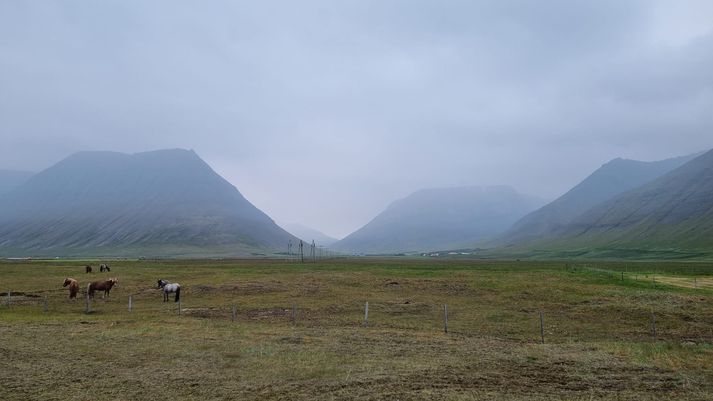 Móðan liggur yfir Önundarfirði, birgir fjallasýn og ertir augun.