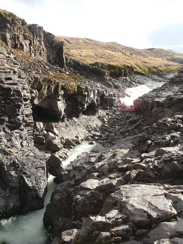 Í venjulegu sumarrennsli smeygir Jökulsá á Dal sér undir urðina sem nefnd er Steinbogi. Veiðifélagið vill opna laxi veg með því að fleyga farveg í bergið í austurbakkanum.
Mynd/Þröstur Elliðason