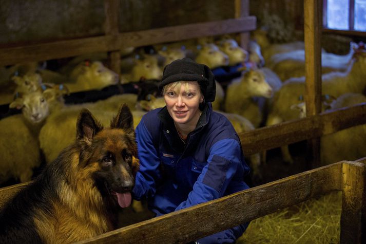 Fífill er í miklu uppáhaldi hjá Heiðu þó hann sé enginn fjárhundur, enda gríðarlega falleg skepna.  