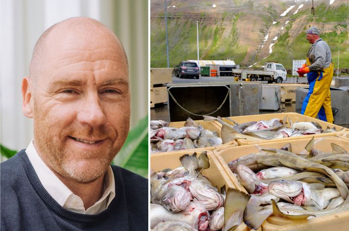 Kristján Vigfússon hefur rannsakað íslenskan sjávarútveg og telur best að Ísland yrði skilgreint sem sérstakt fiskveiðistjórnunarsvæði ef gengið yrði inn í ESB. 