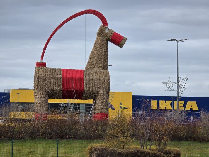 Að venju hefur verið sett upp girðing í kringum geitina.