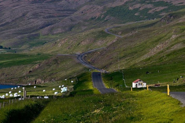 Úr Svalbarðsstrandarhreppi í Eyjafirði.