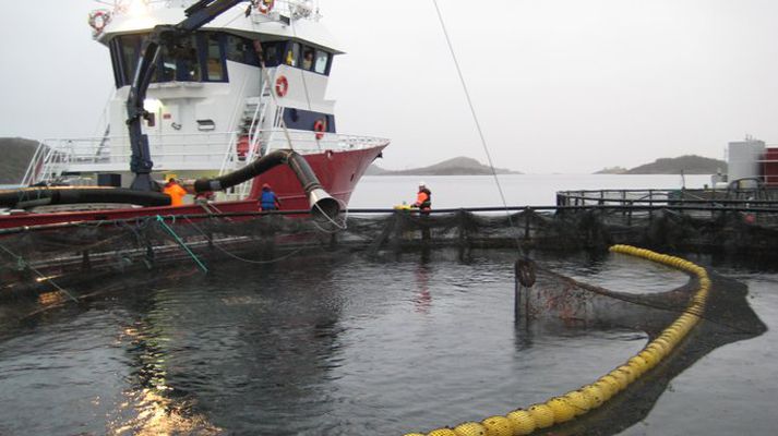 Umhverfisstofnun drót til baka álit sitt um sjókvíaeldi í Ísafjarðardjúpi þegar fyrirtækið sem sótti um leyfið kvaðst vera með nýjar upplýsingar.