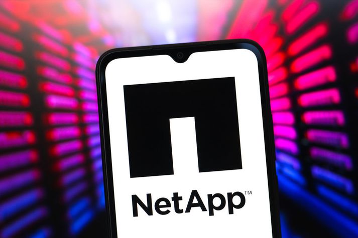 NetApp er fjölþjóðlegt fyrirtæki sem sérhæfir sig í gagnageymslu og skýþjónustu.