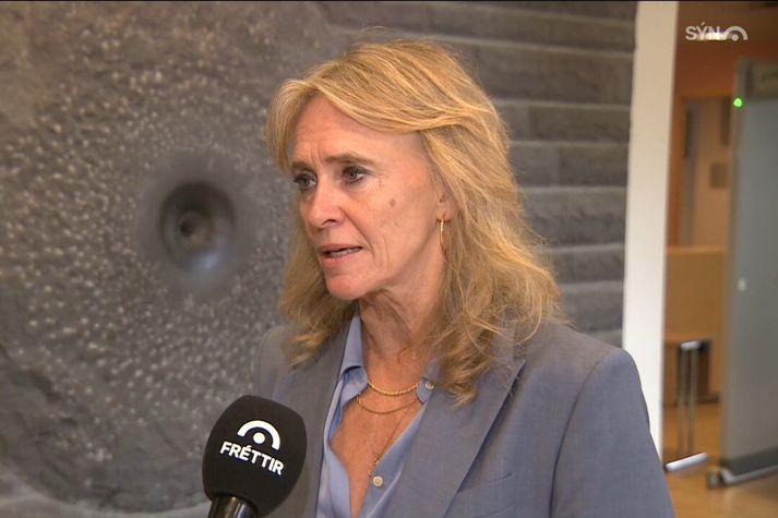 Þorgerður Katrín Gunnarsdóttir er utanríkisráðherra.