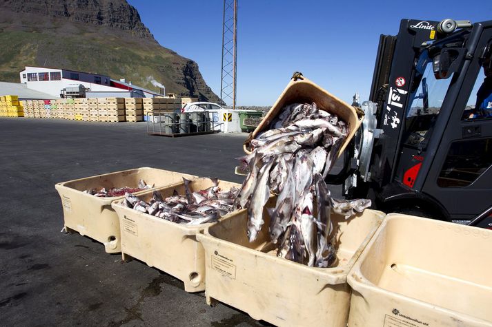 Skýrt er í lögum að ekki má flytja veiðiheimildir frá krókaaflamarksbátum yfir á aflamarksbáta. Það hefur hins vegar verið gert. 
