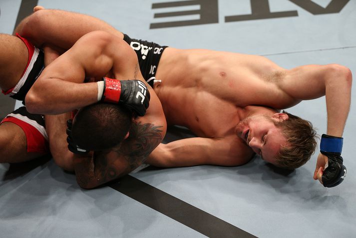 Gunnar Nelson lætur hér höggin dynja á LaMarques Johnson sem reynir að verja höfuð sitt. Gunnar kláraði bardagann síðan á hengingarbragði.