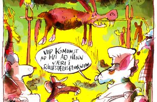 Fréttamynd