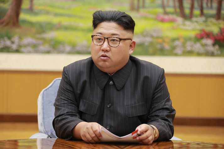 Kim Jong-un er sagður hafa talað afdráttarlaust um að ríki hans myndi stöðva kjarnorkuáætlun sína.