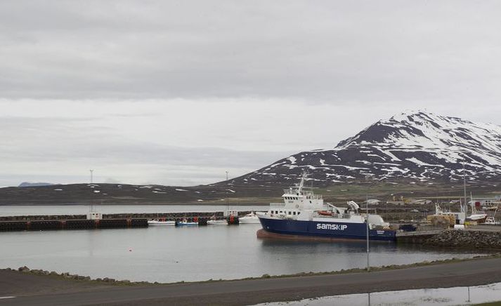 Flestir þeirra virkjanakosta sem íbúar Dalvíkurbyggðar greiða hagkvæmniathugun á eru í landi einkaaðila.
