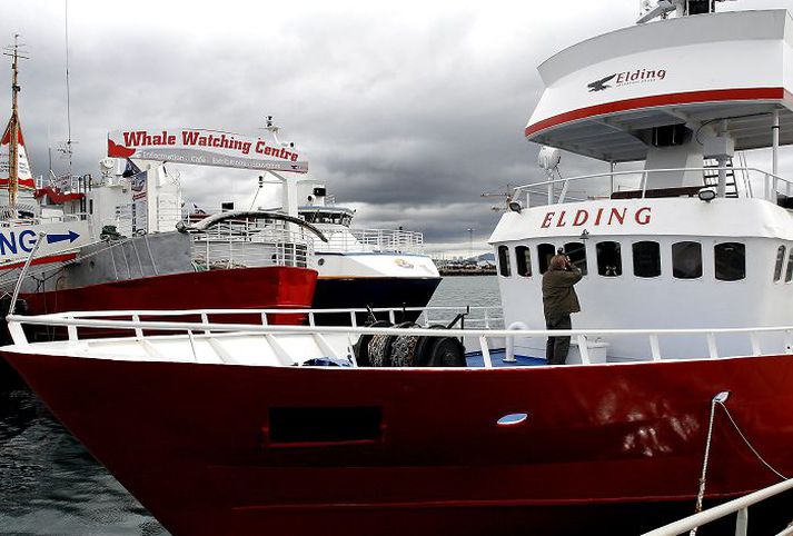 hvalaskoðun Farþegum í hvalaskoðun fjölgaði um 45.000 manns á milli ára. fréttablaðið/gva
