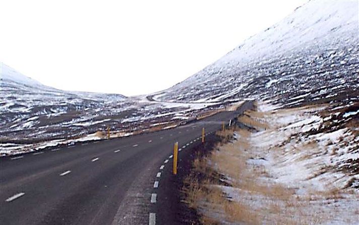 Umferðarskilti Texti hentar verr en tákn á skiltum þegar erlendir ökumenn eru annars vegar, að mati vegamálastjóra.