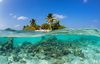 Fréttamynd