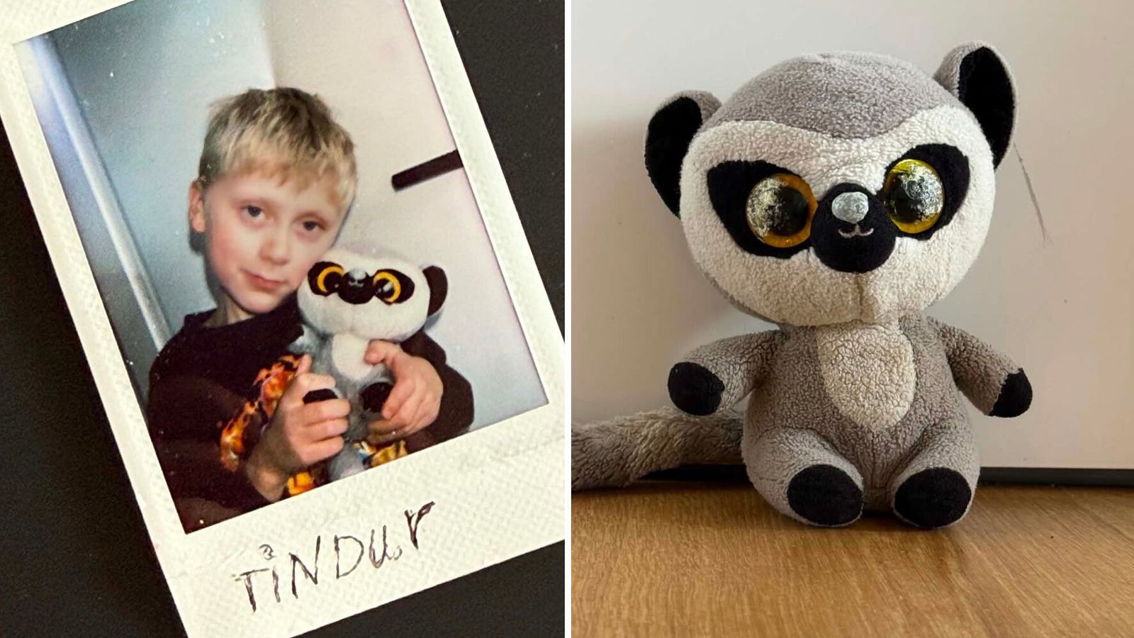 Leita lemúrsins sem er alltaf að týnast