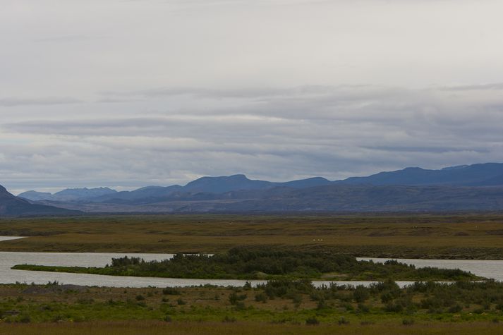 Hagalón Hvammsvirkjunar yrði fyrir ofan stíflu stutt fyrir ofan Viðey í Þjórsá en eyjan var friðlýst árið 2011.