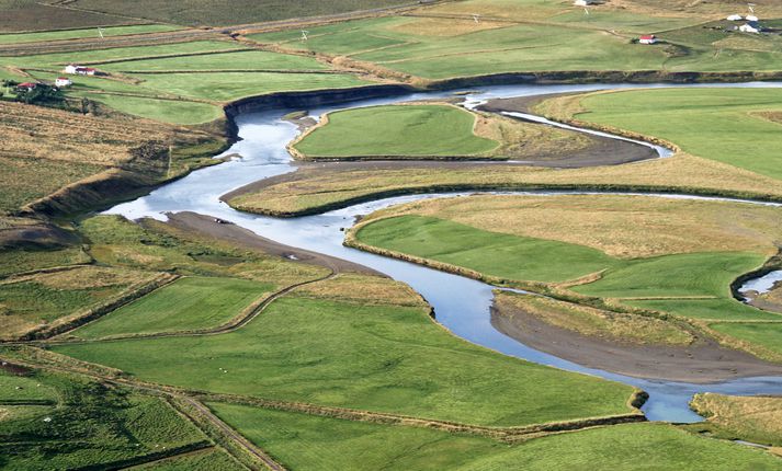 Þeim í Víðidalnum líst ekki á blikuna vegna sjókvíaeldis en veiðifélög um land allt hafa þungar áhyggjur af sjókvíaeldi sem til stendur að stórauka við Íslandsstrendur.