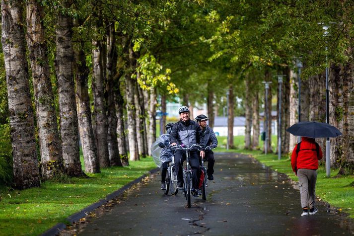 Haust í Laugardal í Reykjavík.