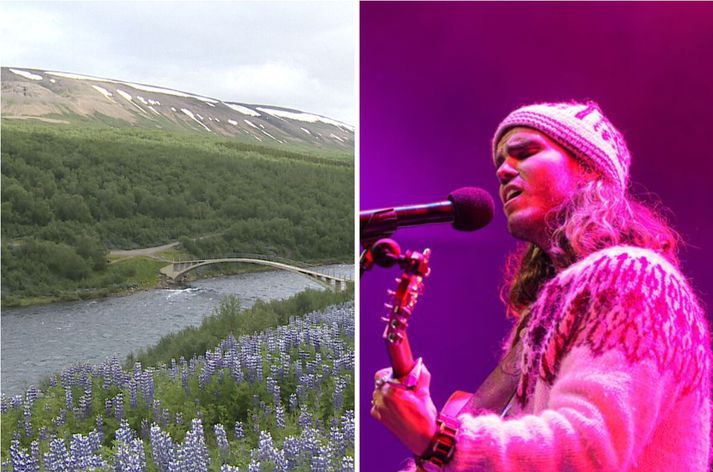 Séð yfir Vaglaskóg og gömlu Fnjóskárbrúna. Tónleikasvæðið verður á níu hektara túni í skóginum.