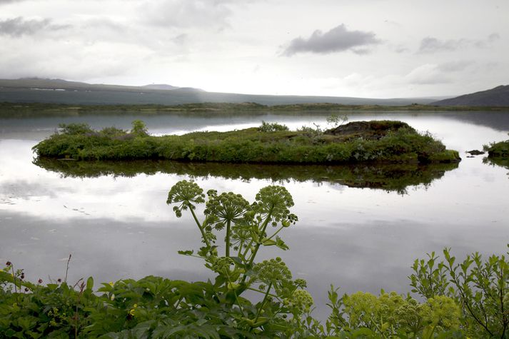 Við Þingvallavatn. 