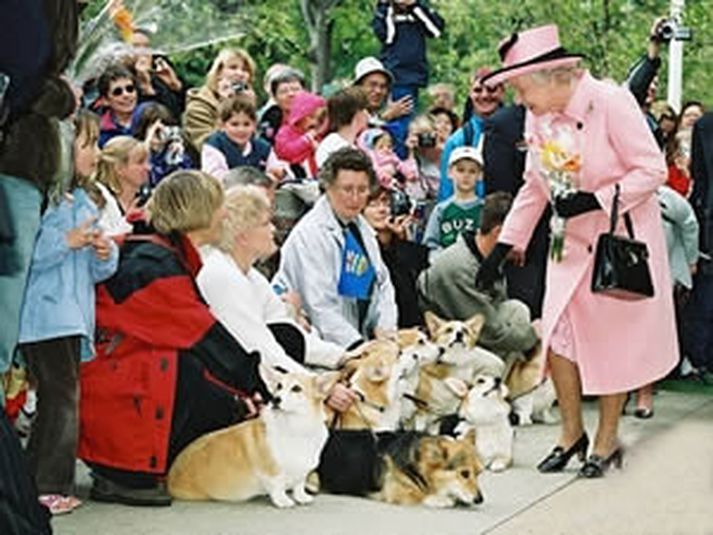 Drottningin hefur átt yfir 30 Corgi hunda í stjórnartíð sinni.