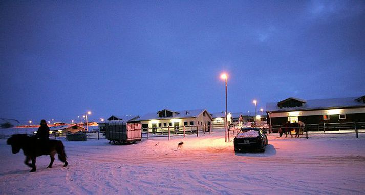 Hrossin eru meðhöndluð í hesthúsahverfinu í Mosfellsbæ kvölds og morgna af nokkrum dýralæknum.
