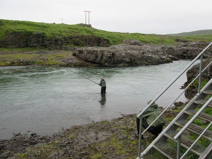 Veiðileyfi bera engan virðisaukaskatt .