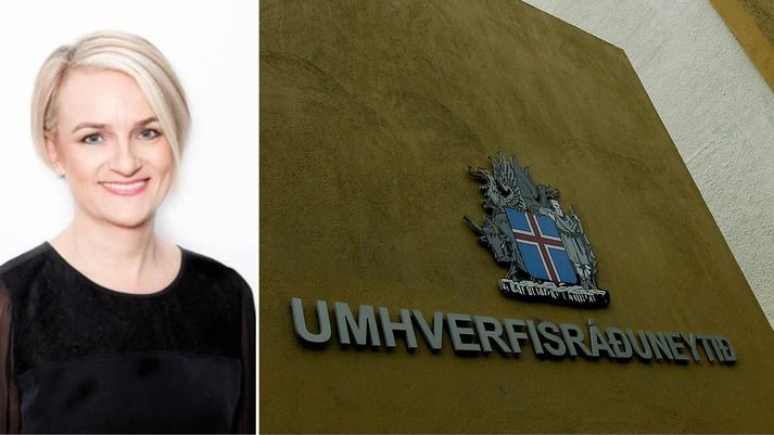 Tilkynnt var um skipan Sigríðar Auðar í gær.