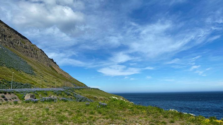 Fleiri en sjö hundruð jarðskjálftar mældust á Tjörnesbrotabeltinu síðustu tvo daga.