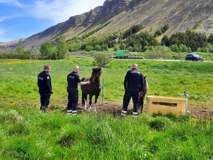 Slökkviliðið birtir þessa mynd úr Mosfellsbæ með færslu sinni. Myndin sýnir líkast til stund á milli stríða við störf.