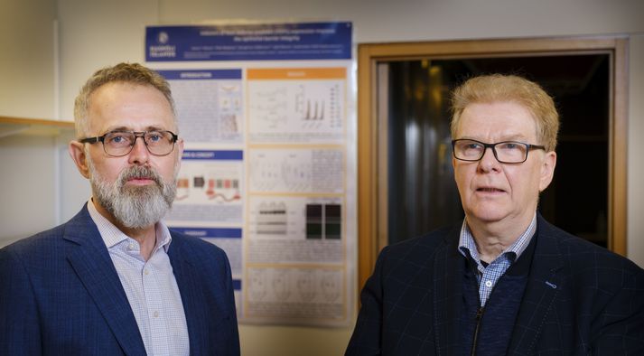 Egill Másson framkvæmdastjóri Akthelia og Guðmundur Hrafn Guðmundsson prófessor í frumulíffræði við Háskóla íslands sem leiðir rannsóknir Akthelia lyfjaþróunarfyrirtækisins.