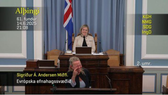 Sigríður Á. Andersen skemmti sér konunglega í umræðum um Bókun 35.