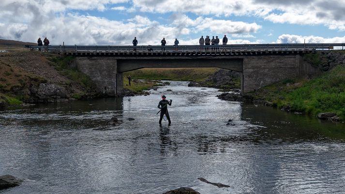 Skilyrðin til laxaleitar voru ansi góð.