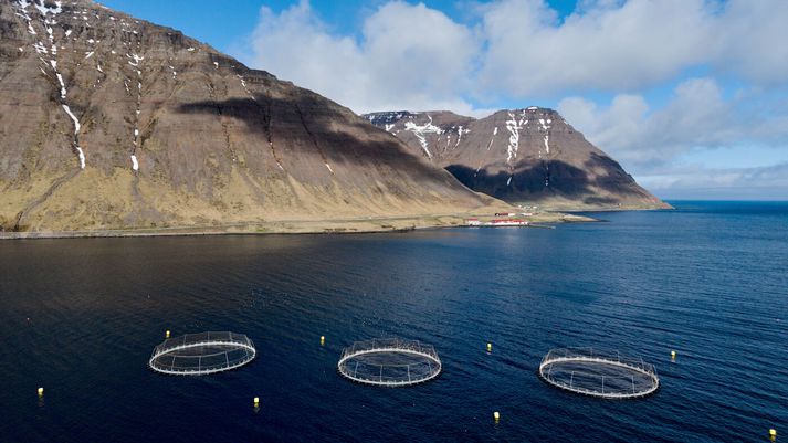 Sjókvíar í Skutulsfirði á Vestfjörðum. Verulegur munur er á afstöðu svarenda í könnuninni gagnvart laxastofninum eftir því hvort þeir búa þar sem fiskeldi er stundað eða ekki.