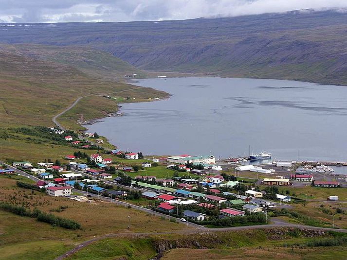 Tálknfirðingar þurfa nú að grípa til einhverra aðgerða svo að þeir komi vinnuafli sínu undir þak. Svo eru þeir að vinna að því að koma sér upp heitavatnskyndingu í stað rafmagnskyndingar.